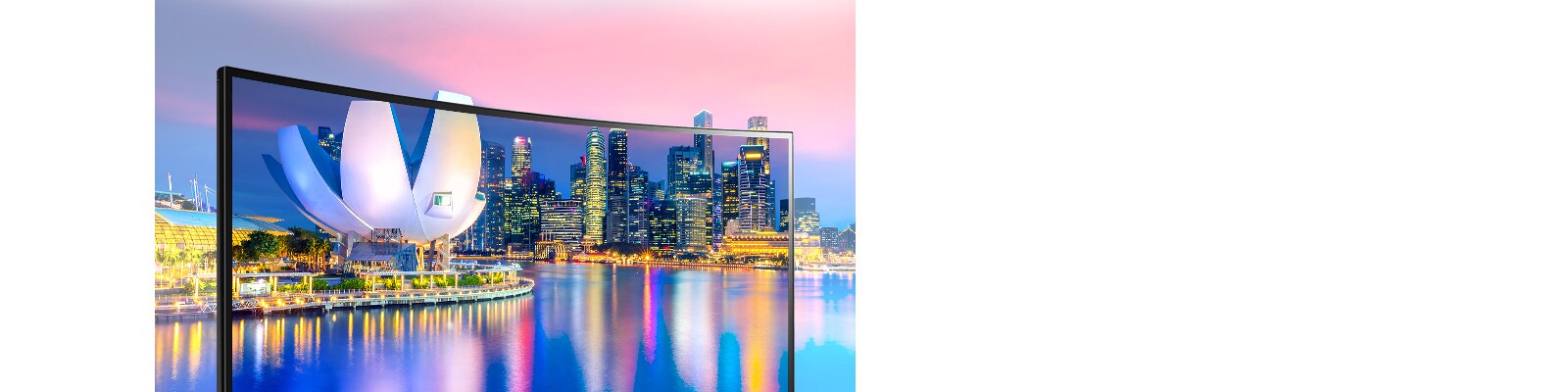 IPS avec DCI-P3 95% (Typ.) : Couleurs réalistes et vue large