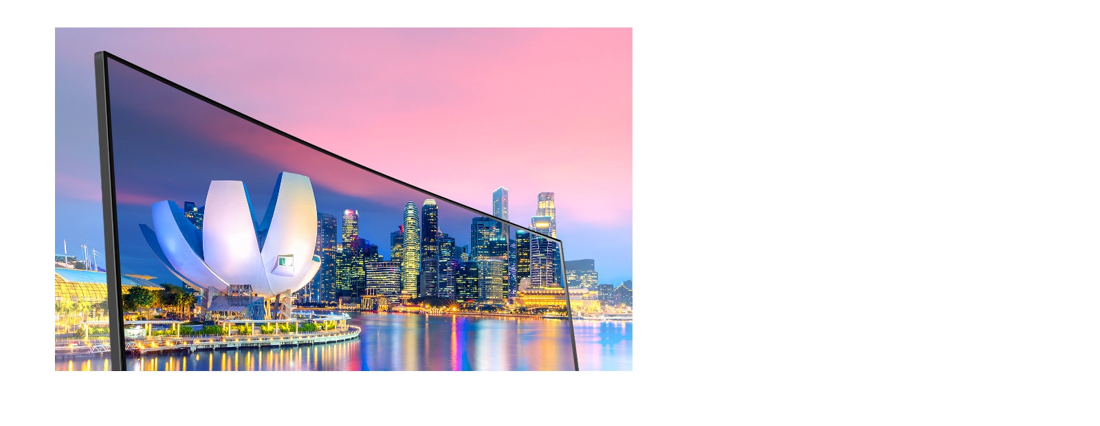 IPS avec sRBG à 99% (Typ.) : Couleurs réalistes et vue plus large