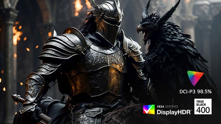 Un chevalier portant une armure noire avec un oiseau dans un hall médiéval, pour démontrer DCI-P3 98.5% et DisplayHDR 400.	