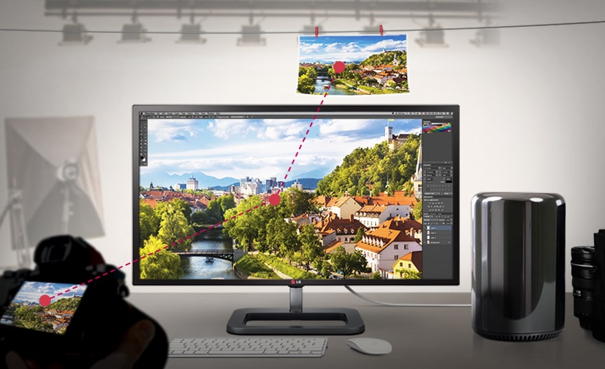 Dalle IPS Adobe RGB > 99.5%