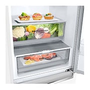 LG  Door Cooling+ - La fraîcheur partout | 341L  capacité  | Moist Balance Crisper | Compresseur Smart Inverter, GBB61SWGGN, GBB61SWGGN, thumbnail 4