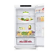 LG  Door Cooling+ - La fraîcheur partout | 341L  capacité  | Moist Balance Crisper | Compresseur Smart Inverter, GBB61SWGGN, GBB61SWGGN, thumbnail 7