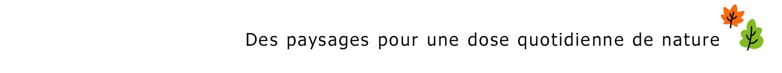 Title reads, Sceneries for a daily dose of nature