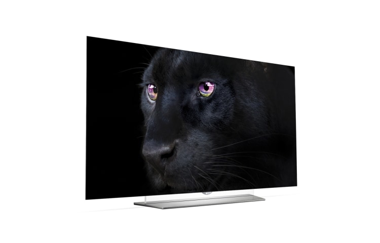 LG 55'' (139cm) Class pouces | OLED Ultra HD 4K | SMART TV WebOS 2.0 | Design Art Slim | 3D TV | 3 entrées HDMI | 3 ports USB | Son Harman Kardon, 55EF950V, thumbnail 9