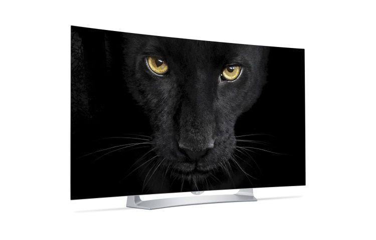 LG 55'' (139cm) Class  pouces | TV OLED Full HD | SMART TV WebOS 2.0 | Design Art Slim | 3D | 3 entrées HDMI | 3 ports USB | Son Harman Kardon, 55EG910V, thumbnail 8