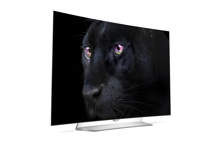 LG 55'' (139cm) Class | TV OLED Ultra HD | SMART TV WebOS 2.0 | Design Art Slim | 3D TV | 3 entrées HDMI | 3 ports USB , 55EG920V, thumbnail 8