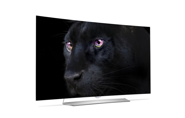LG 55'' (139cm) Class | TV OLED Ultra HD | SMART TV WebOS 2.0 | Design Art Slim | 3D TV | 3 entrées HDMI | 3 ports USB , 55EG920V, thumbnail 9