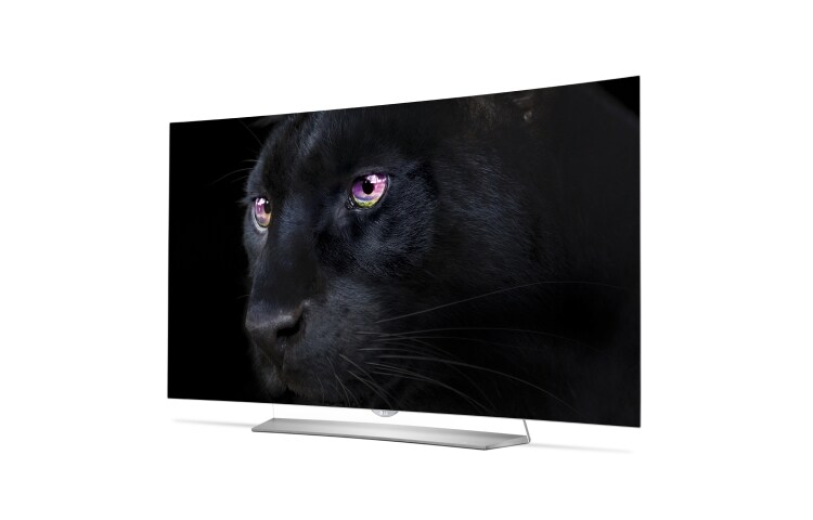 LG 65'' (164cm) Class pouces | OLED Ultra HD 4K | SMART TV WebOS 2.0 | Design Art Slim | 3D TV | 3 entrées HDMI | 3 ports USB | Son Harman Kardon, 65EF950V, thumbnail 2