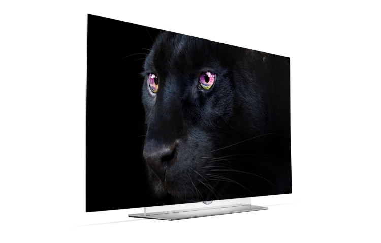 LG 65'' (164cm) Class pouces | OLED Ultra HD 4K | SMART TV WebOS 2.0 | Design Art Slim | 3D TV | 3 entrées HDMI | 3 ports USB | Son Harman Kardon, 65EF950V, thumbnail 8