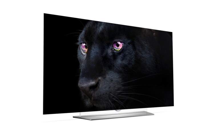 LG 65'' (164cm) Class pouces | OLED Ultra HD 4K | SMART TV WebOS 2.0 | Design Art Slim | 3D TV | 3 entrées HDMI | 3 ports USB | Son Harman Kardon, 65EF950V, thumbnail 9