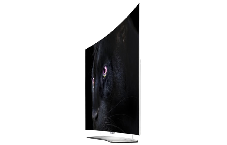 LG 65'' (164cm) Class pouces | OLED Ultra HD 4K | SMART TV WebOS 2.0 | Design Art Slim | 3D TV | 3 entrées HDMI | 3 ports USB | Son Harman Kardon, 65EG960V, thumbnail 3