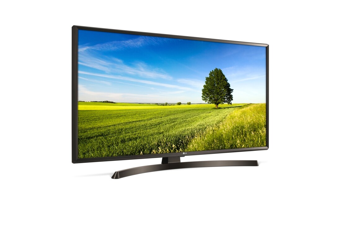 LG 55'' (139 cm) UHD TV | 4K Display | 4K Active HDR | Angle de vision large | webOS avec ThinQ AI, 55UK6400PLF, thumbnail 2