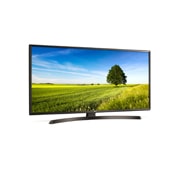 LG 65'' (165 cm) UHD TV | 4K Display | 4K Active HDR | Angle de vision large | webOS avec ThinQ AI, 65UK6400PLF, thumbnail 3