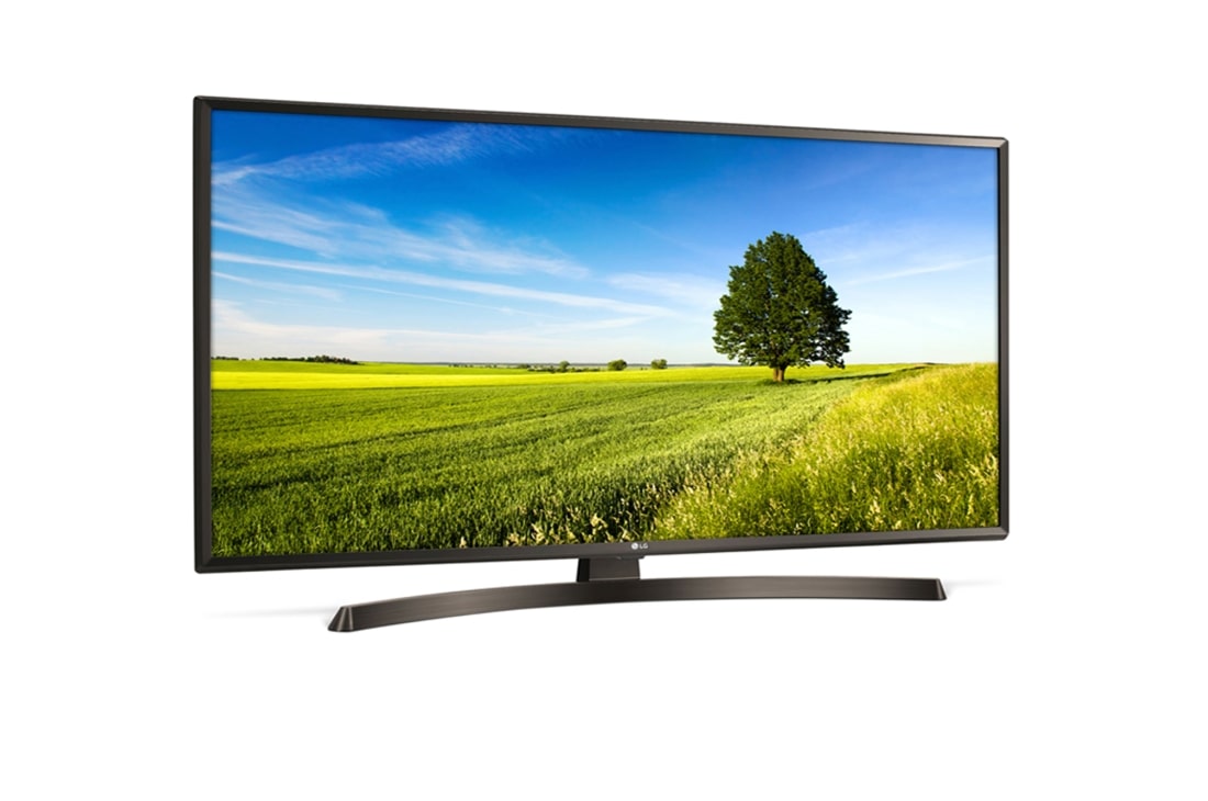 LG 65'' (165 cm) UHD TV | 4K Display | 4K Active HDR | Angle de vision large | webOS avec ThinQ AI, 65UK6400PLF, thumbnail 3