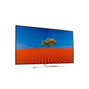 LG 65'' (165 cm) SUPER UHD TV SK9500 | α7 Processeur intelligent | Nano Cell Display Pro | Full Array LED | Cinema HDR avec Dolby Vision , 65SK9500PLA, thumbnail 3