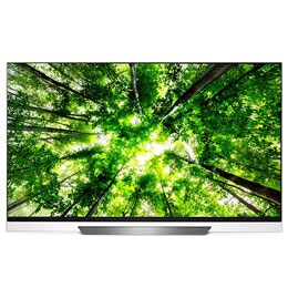 65" (165 cm) LG OLED E8 | α9 Processeur intelligent| Contraste infini | Cinema HDR avec Dolby Vision | Picture-on-Glass design2