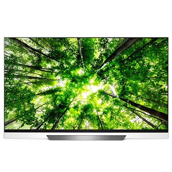 65" (165 cm) LG OLED E8 | α9 Processeur intelligent| Contraste infini | Cinema HDR avec Dolby Vision | Picture-on-Glass design1