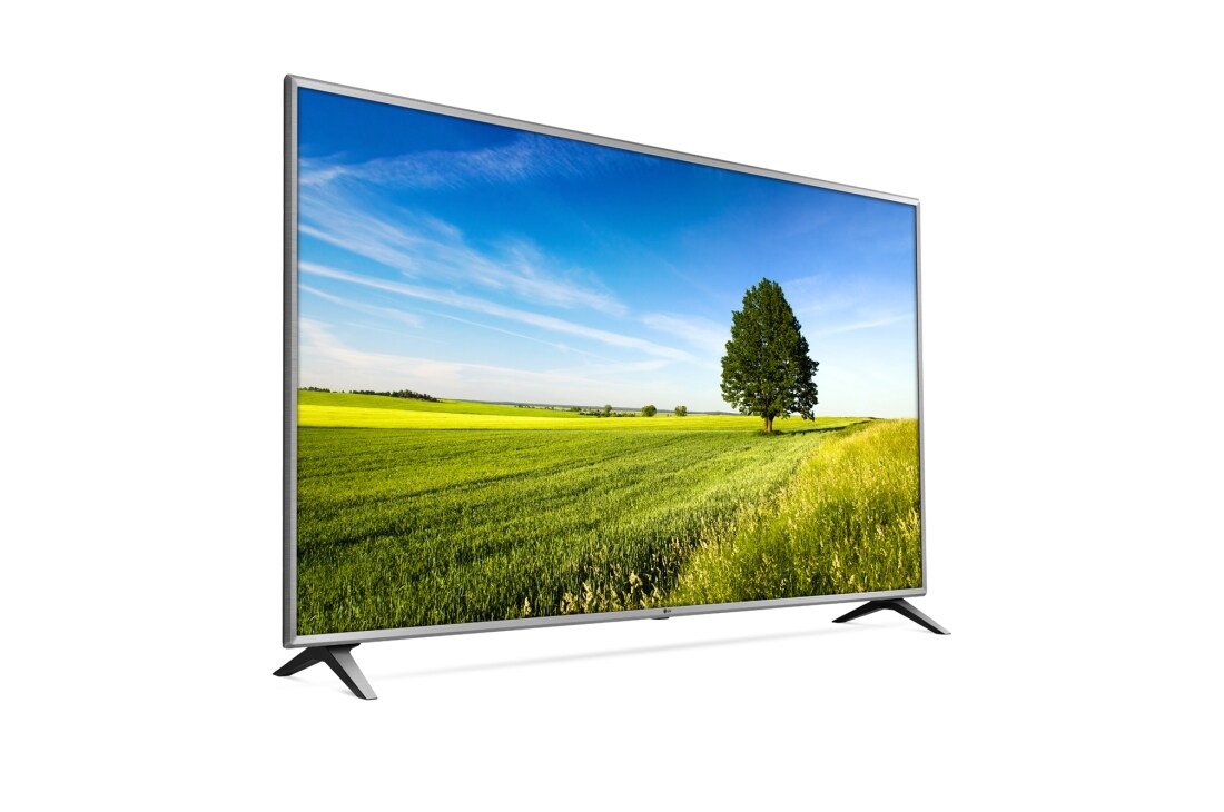 LG 86'' (218 cm) UHD TV | α7 Processeur Intelligent | 4K Display | 4K Active HDR avec Dolby Vision | Angle de vision large | webOS avec ThinQ AI, 86UK6500PLA, thumbnail 2