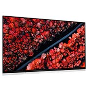 LG OLED65E9PLA, OLED65E9PLA, thumbnail 5
