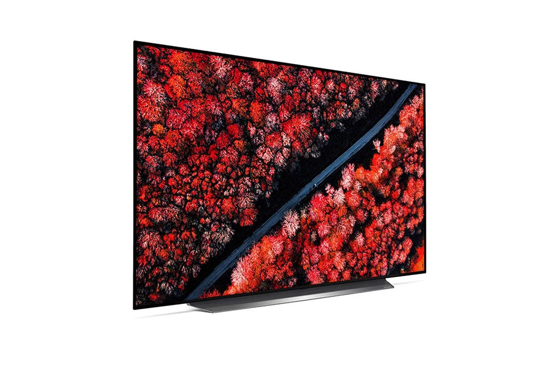 LG 65 ''(165 cm) LG OLED C9 Processeur Intelligent α9 Gen 2
