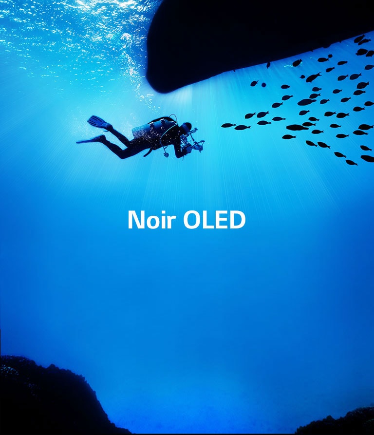 Les images prennent vie2