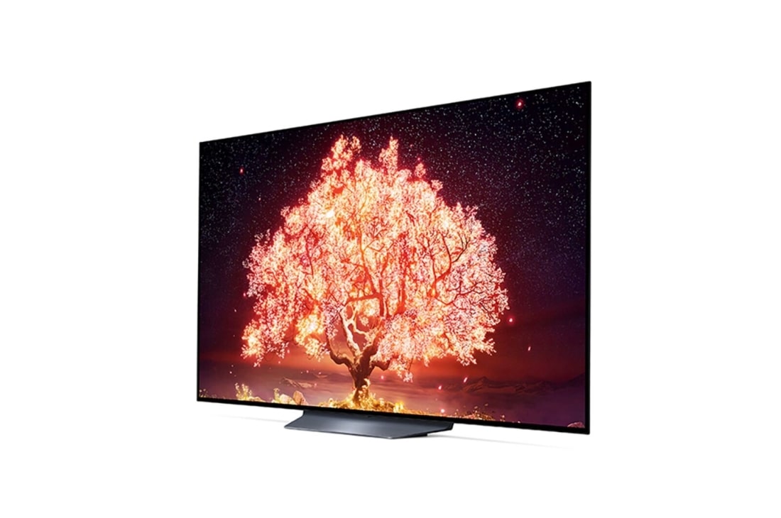 LG B1 65 inch 4K Smart OLED TV, OLED65B16LA, thumbnail 5