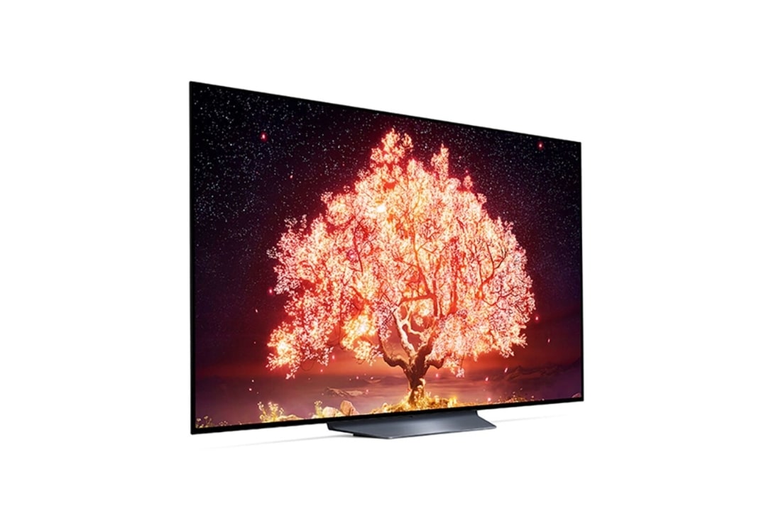 LG B1 65 inch 4K Smart OLED TV, OLED65B16LA, thumbnail 7