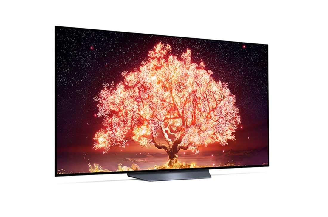 LG B1 65 inch 4K Smart OLED TV, OLED65B16LA, thumbnail 8