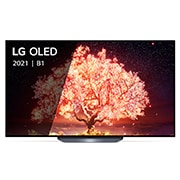 LG B1 65 inch 4K Smart OLED TV, OLED65B16LA, thumbnail 2