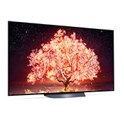 LG B1 65 inch 4K Smart OLED TV, OLED65B16LA, thumbnail 8