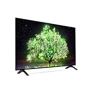 LG A1 48 inch 4K Smart OLED TV, OLED48A16LA, thumbnail 7