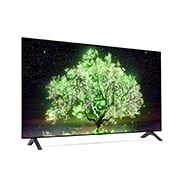 LG A1 48 inch 4K Smart OLED TV, OLED48A16LA, thumbnail 8