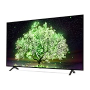 LG A1 65 inch 4K Smart OLED TV, OLED65A16LA, thumbnail 4