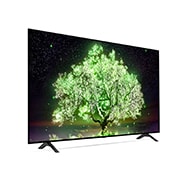 LG A1 65 inch 4K Smart OLED TV, OLED65A16LA, thumbnail 7