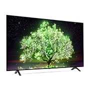 LG A1 65 inch 4K Smart OLED TV, OLED65A16LA, thumbnail 8