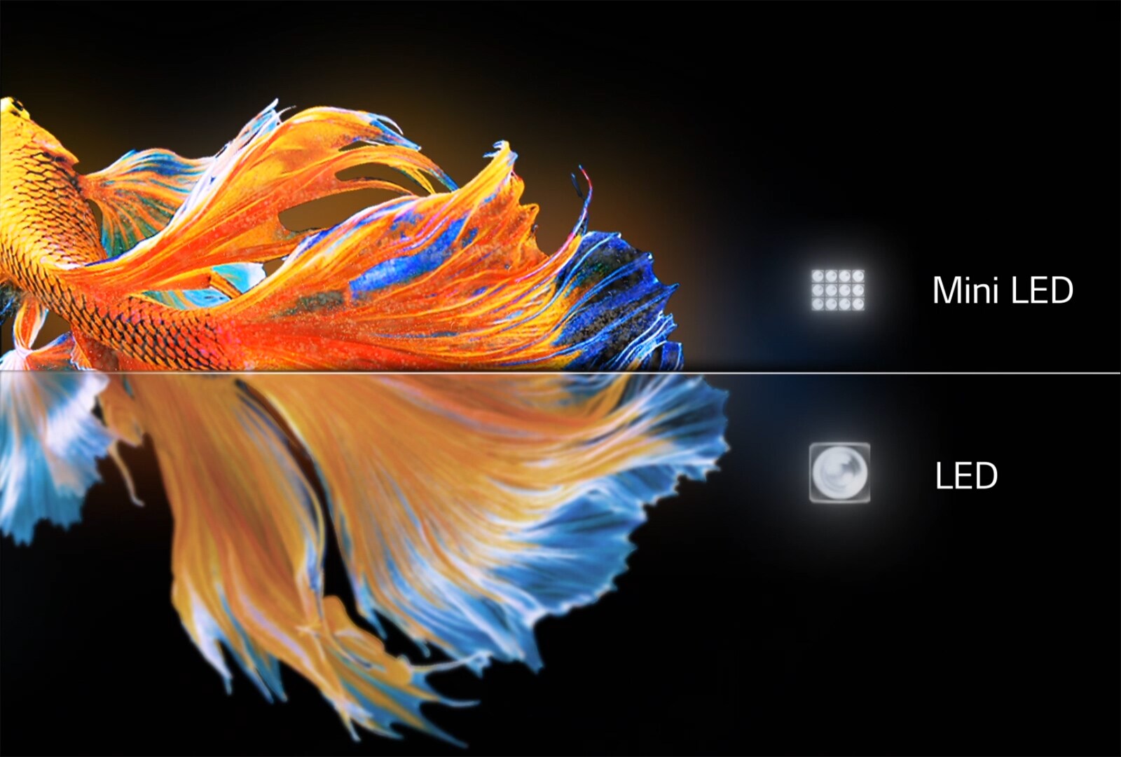 LG 65QNED966PA | LG Belgique