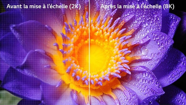 L’image d’une fleur en définition originale 2K sur la gauche et mise à l’échelle en 8K sur la droite.