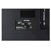 LG 55 pouces LG OLED AI B4 4K Smart TV OLED55B4, port view, OLED55B42LA, thumbnail 13