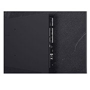 LG Smart TV LG OLED evo AI 4K C5 2025 77 pouces, Un léopard dans la forêt avec des couleurs et des détails éclatants. On voit une grille et une lumière briller derrière le léopard, indiquant comment LG AI Picture Pro a apporté des améliorations visu, OLED77C54LA, thumbnail 10