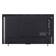 LG Smart TV LG OLED evo AI 4K C5 2025 42 pouces, Un léopard dans la forêt avec des couleurs et des détails éclatants. On voit une grille et une lumière briller derrière le léopard, indiquant comment LG AI Picture Pro a apporté des améliorations visu, OLED42C54LA, thumbnail 10