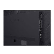 LG Smart TV LG OLED evo AI 4K C5 2025 65 pouces, Perroquet coloré en ultra haute définition sur un fond noir. On voit des gouttes d’eau suspendues dans l’air tout autour. L’image présente la technologie Perfect Color, car chaque couleur différente d, OLED65C55LA, thumbnail 9