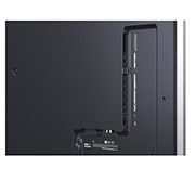 LG Smart TV LG OLED evo AI 4K G5 2025 97 pouces, Un léopard dans la forêt avec des couleurs et des détails éclatants. On voit une grille et une lumière briller derrière le léopard, indiquant comment LG AI Picture Pro a apporté des améliorations visu, OLED97G54LW, thumbnail 10