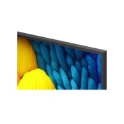 LG Smart TV LG NanoCell AI NANO81 2025 4K 43 pouces, Une image divisée au milieu pour montrer un avant et un après des couleurs pures en Real 4K. Le côté gauche du carrousel est net et coloré tandis que le côté droit est terne. Le titre évoque la façon , 43NANO81A6A, thumbnail 6
