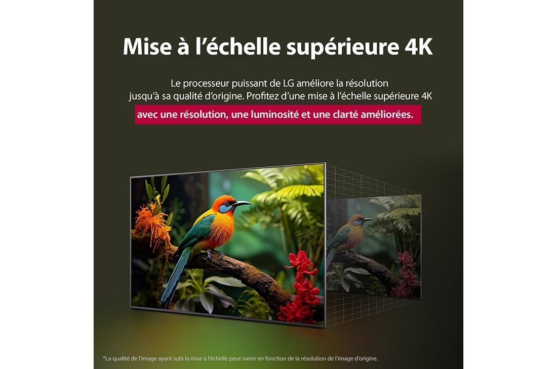LG Smart TV LG QNED AI QNED84 4K 2025 75 pouces, Comparaison avant et après de la façon dont la mise à l’échelle supérieure LG 4K améliore la qualité d’image. Deux panneaux montrant la même image d’un oiseau coloré assis sur une branche dans une for, 75QNED84A6C, thumbnail 7