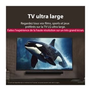 LG Smart TV LG UHD AI UA73 4K de 50 pouces 2025, LG TV avec un écran d’une taille impressionnante fixé sur un mur au-dessus d’une LG Soundbar dans un salon au style moderne., 50UA73006LA, thumbnail 8
