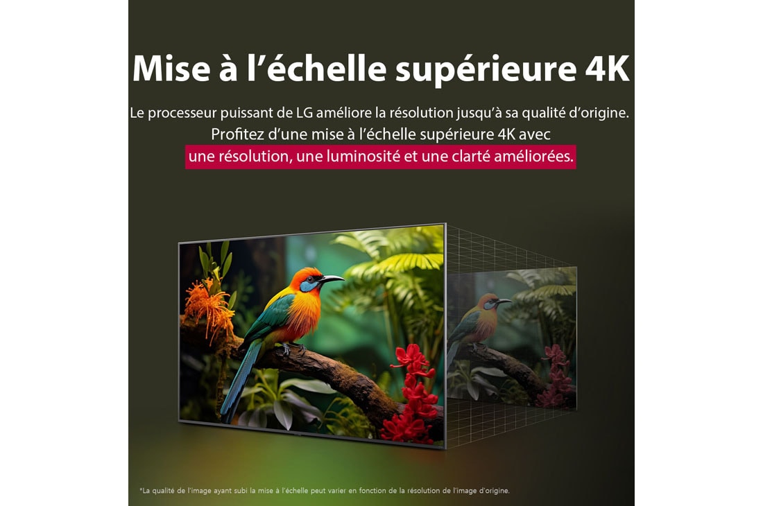 LG Smart TV LG UHD AI UA73 4K de 55 pouces 2025, Comparaison avant et après de la façon dont la mise à l’échelle supérieure LG 4K améliore la qualité d’image. Deux panneaux montrant la même image d’un oiseau coloré assis sur une branche dans une for, 55UA73006LA, thumbnail 6