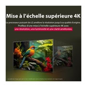 LG Smart TV LG UHD AI UA73 4K de 55 pouces 2025, Comparaison avant et après de la façon dont la mise à l’échelle supérieure LG 4K améliore la qualité d’image. Deux panneaux montrant la même image d’un oiseau coloré assis sur une branche dans une for, 55UA73006LA, thumbnail 6