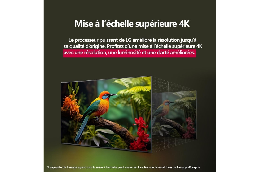 LG Smart TV LG QNED AI QNED70 4K 2025 50 pouces, Comparaison avant et après de la façon dont la mise à l’échelle supérieure LG 4K améliore la qualité d’image. Deux panneaux montrant la même image d’un oiseau coloré assis sur une branche dans une for, 50QNED70A6A, thumbnail 7