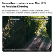 LG Smart TV LG QNED evo AI QNED86 Mini LED 4K 2026 55 pouces, La Mini LED LG QNED evo AI QNED85 met en valeur la Mini LED avec Precision Dimming dans une scène de forêt divisée, avec des noirs plus profonds et un contraste plus raffiné que la LED conventionnelle, 55QNED86B6B, thumbnail 9