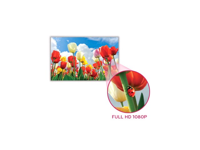 FULL HD  <img src="/be_fr/img/rich-feature/full-hd-29.jpg" alt>1